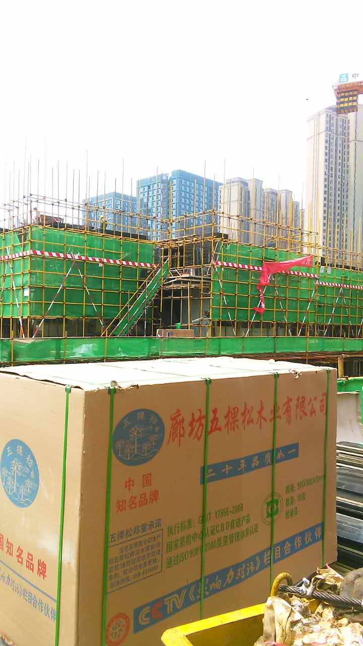 “热博RB88牌”建筑模板走进武汉绿地中心项目
