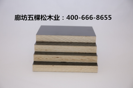 清水模板厂和你分享松木建筑模板的日常维护常识